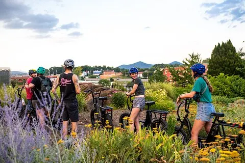 3-timers E-Bike Sightseeing og Bryggerier Tour i Roanoke