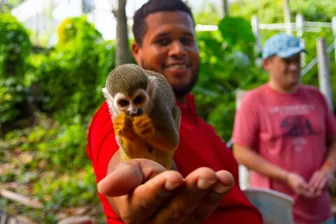 Puerto Plata : Monkey Enconter & Zip line Aventure