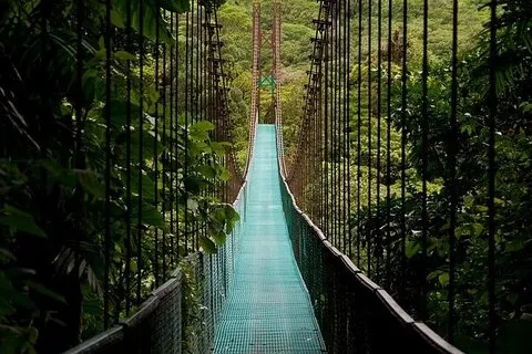 The Mistico Hanging Bridges | voooya