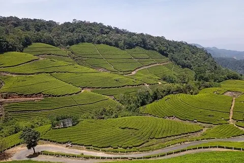Visite du bois de santal et des visites touristiques (Trekking et visites de la vallée de Munnar)