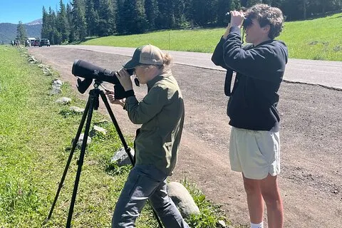 Yellowstone Wildlife Safari im Lamar Valley von Cody, WY