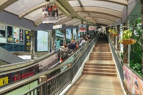 Visite de Hong Kong les mieux noté(e)s : Peak Tram, Dim Sum et sites culturels