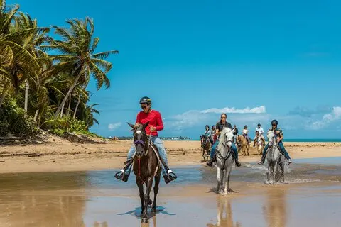Luquillo Beach Horse Ride fra Carabalí Rainforest Adventure Park