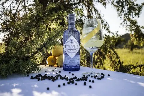 Citadelle Gin Distillery Tour auf Englisch