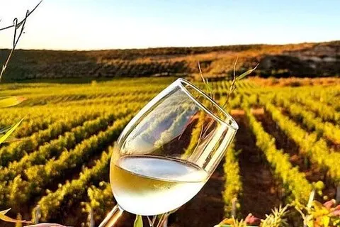 Experimente o Blue Eye, o Castelo Lekuresi e prove o vinho tradicional da Albânia