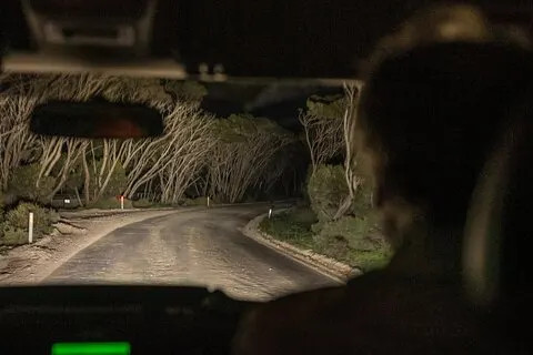 Nächtliche Tour durch Kangaroo Island