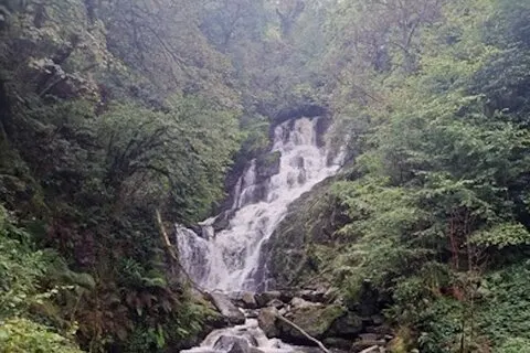 Privat Ring of Kerry-tur fra Cork City