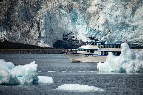 Visite du parc national des fjords Kenai au départ de Seward