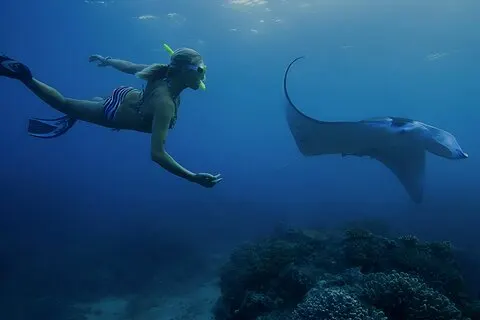 Från Bali: Nusa Penida Snorkling och Island Tour