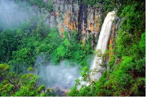 Springbrook Vattenfall & Natural Bridge Tour från Gold Coast