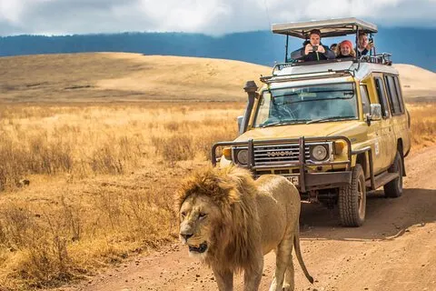 Excursión a la reserva de caza Big 5 de Hluhluwe Imfolozi desde Durban