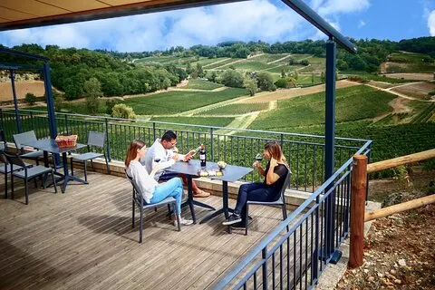 Saint-Emilion Grand Cru Classé: Gourmet Visit på engelsk