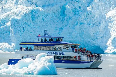 Heldags Kenai Fjords National Park Cruise