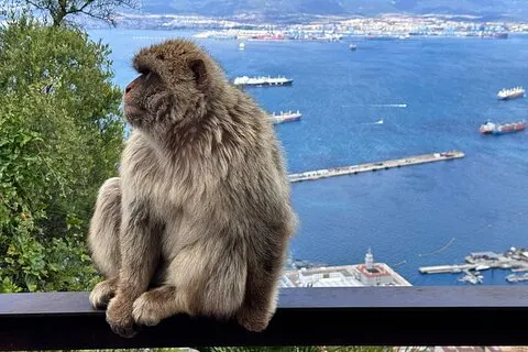 Excursion privée d'une journée à Gibraltar au départ de Cadix