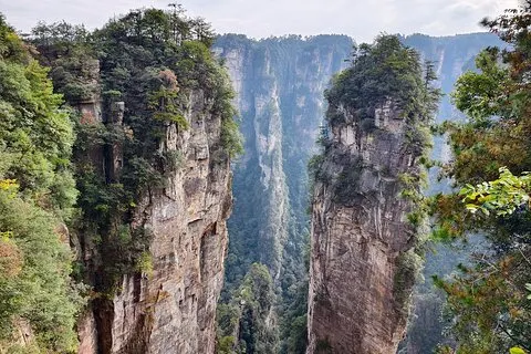 Zhangjiajie National Forest Park Ticketbuchung
