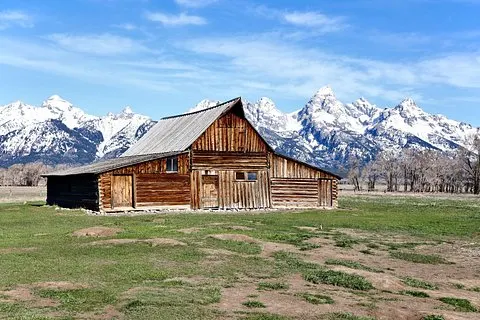 Visite en van du parc national Grand Teton