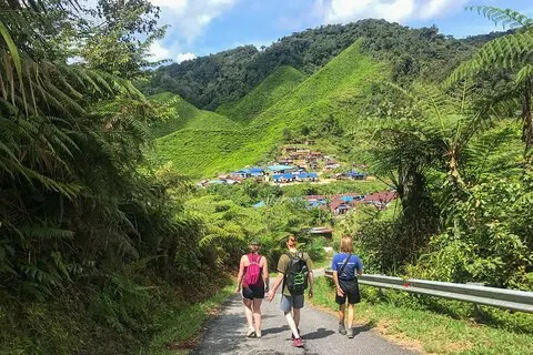 Cameron Highlands Dia Inteiro Junte-se a Tour