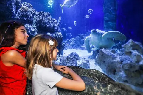 SEA LIFE Oberhausen Oppholdsbillett