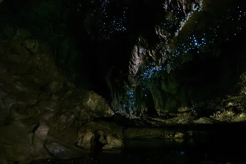Visite guidée des grottes de vers luisants de la famille Kawiti dans la baie des Îles