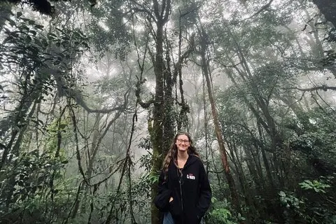 Excursão de meio dia em Cameron Highlands Mossy Forest
