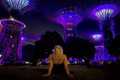 Tour Privado : Crucero por el río Singapur & 2 Top-visit Espectáculos de luces