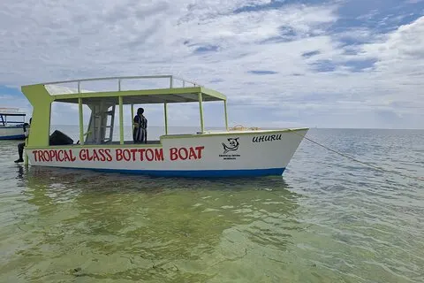 Halbtägige Creek Safari und Schnorchelabenteuer in Mombasa
