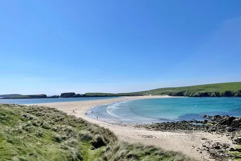 Excursion privée d'une demi-journée dans les Shetland du sud du continent