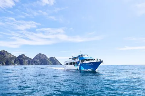 Halvdags Resurrection Bay & Wildlife Tour fra Seward
