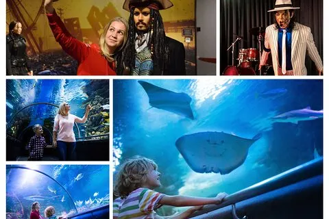 Alanya: Boleto de entrada al Acuario de Antalya con traslado al hotel