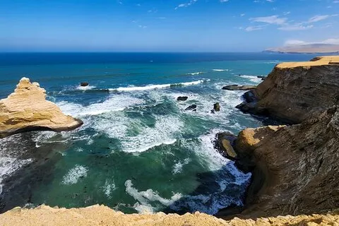 Paracas Coastal Wonder: Excursão privada na costa a partir do porto de cruzeiro de Pisco