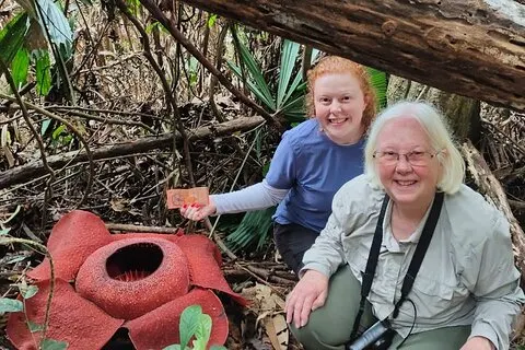 Cameron Highlands: Maravilha da Natureza Amazing Rafflesia Explorer