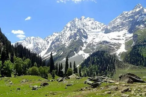 Sonamarg Tagestour zu Meadows Glaciers Flüsse und Täler