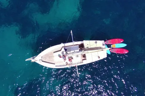 イビサ島：タパスとオープンバー付きのプライベートセーリングツアー