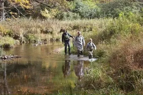 Pêche à la mouche guidée d'une demi-journée pour 3 pêcheurs | voooya