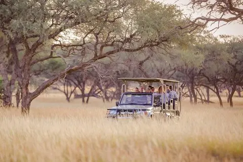 Okapuka Game Drive