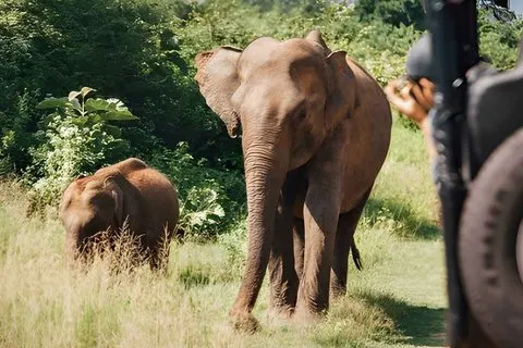 Hurulu Eco Park Private Safari