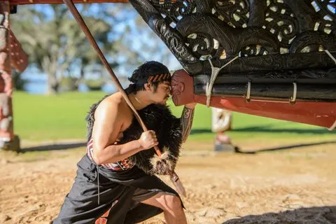 Expérience culturelle unique au Waitangi Treaty Grounds – Carte journalière