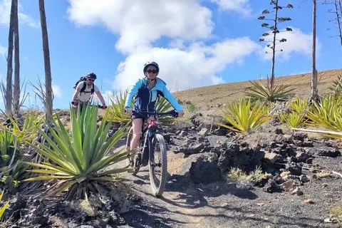 Lanzarote E-Bike Tour: Cratères de volcan & vignobles pittoresques | voooya