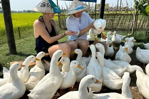 Hoi An Bike Tour Canard Organic Farm Basket Bateau Buffalo | voooya