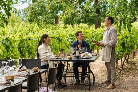 Private Mendoza WineTour : 3 vignobles Premium Déjeuner au Guide Michelin