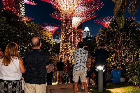 Singapore Crociera sul fiume stellata notturna, Spectra e Garden Rhapsody