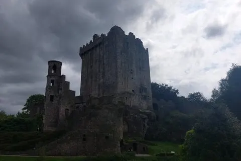Privat slottstur från Limerick