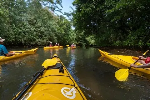 Privat Upolu Turtle Kayak dagstur