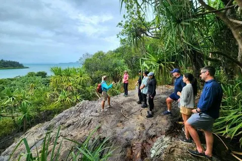 Hoteller i nærheden af Rainforest to Reef Guided Bushwalk Adventure