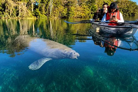 Tour Ecologico atravez de Silver Springs en Kayaks transparentes | voooya