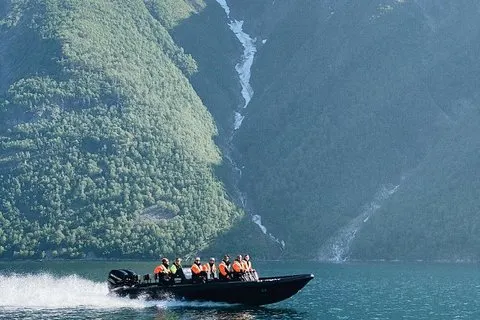 Coastal Safari av RIB fra Ålesund | Voooya.com