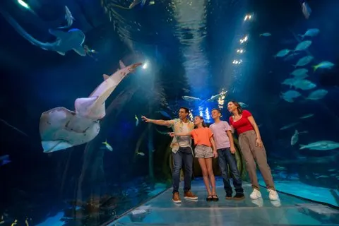 Billet d'entrée à l'aquarium SEA LIFE Orlando à l'ICON Park