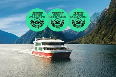 Milford Sound Tour met kleine groep, cruise & picknicklunch | voooya