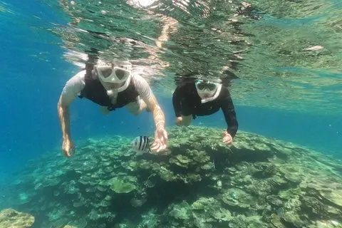 Okinawa : Excursions en bateau avec tuba (2 sorties) à Minna, Sesoko ou Motobu
