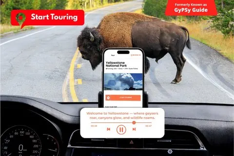 Selbstgeführte Audio-Fahrt im Yellowstone-Nationalpark